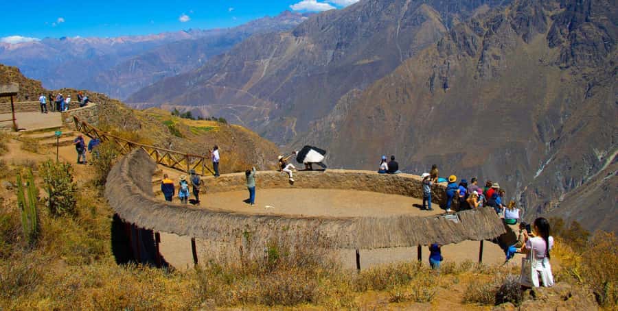 From Arequipa: Colca Canyon Full-Day Tour with Breakfast - Why the condors make this day worth considering