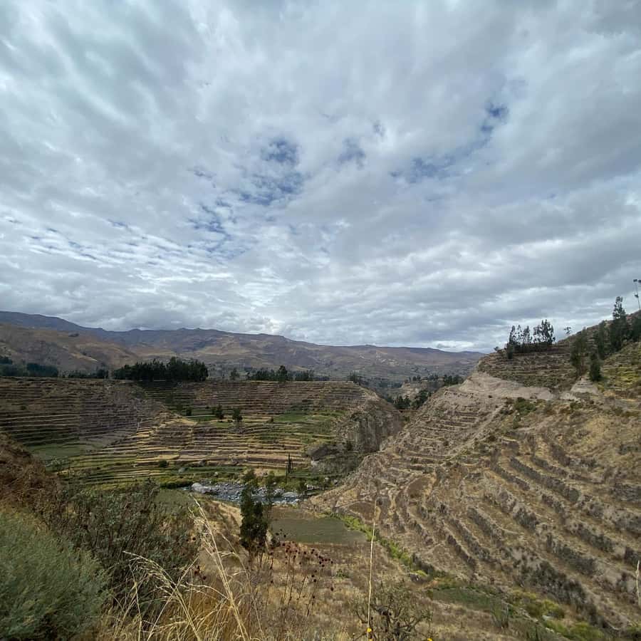 From Arequipa: Colca Canyon & La Calera Thermal Waters - What to pack for a smoother day