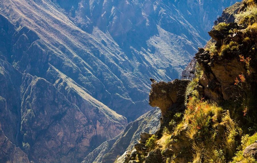 From Arequipa: Colca Valley & Thermal Baths Small-Group Trip - Chacapi hot springs near Yanque