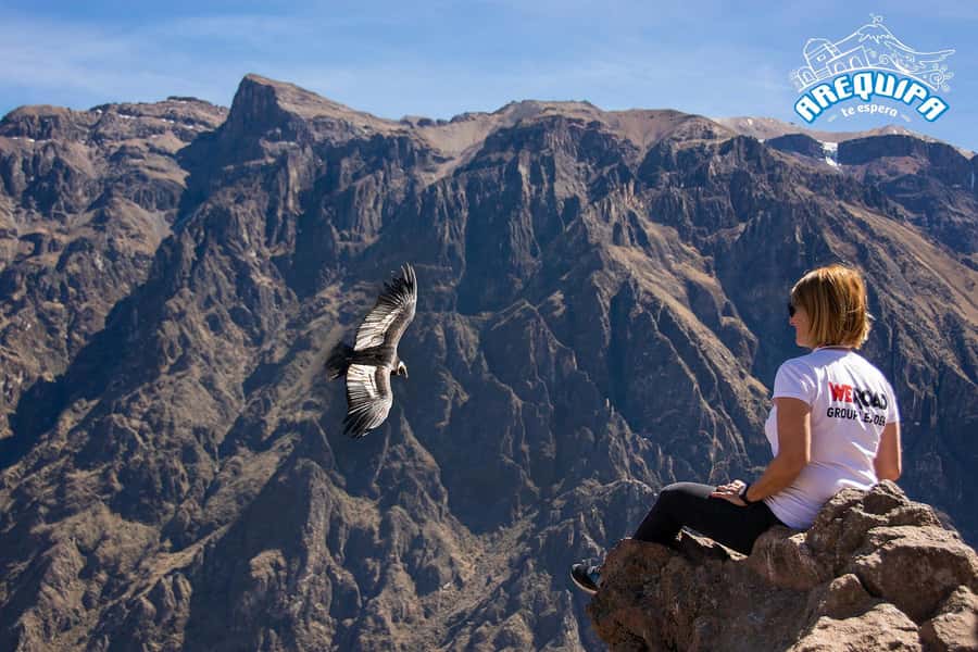 From Arequipa: Colca Valley & Thermal Baths Small-Group Trip - Patapampa and the high volcano country
