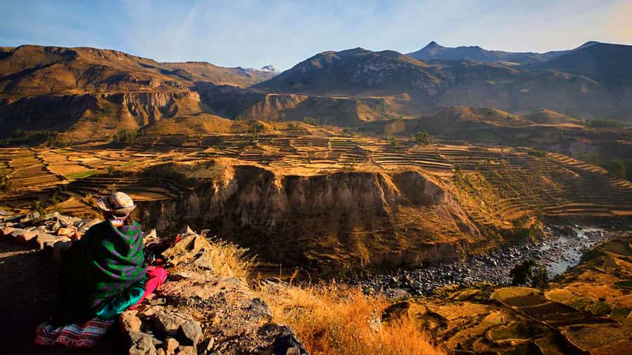 From Arequipa: Full Day Colca Canyon Tour - Key points to know before booking