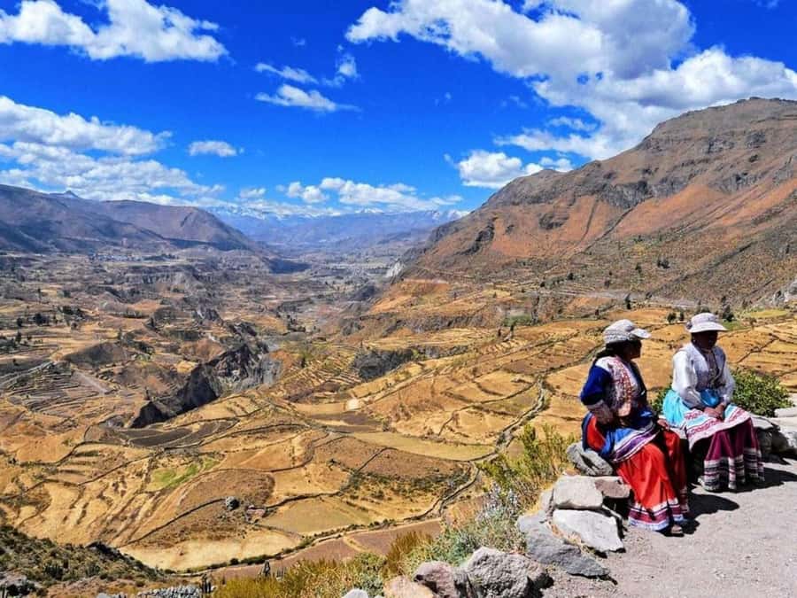 From Arequipa: Full Day Tour of Colca Canyon with Meals - Guides make the difference