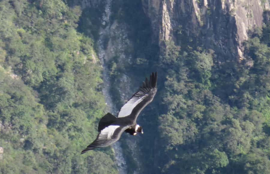 From Arequipa: Full Day Tour of Colca Canyon with Meals - Breakfast in Chivay before the canyon