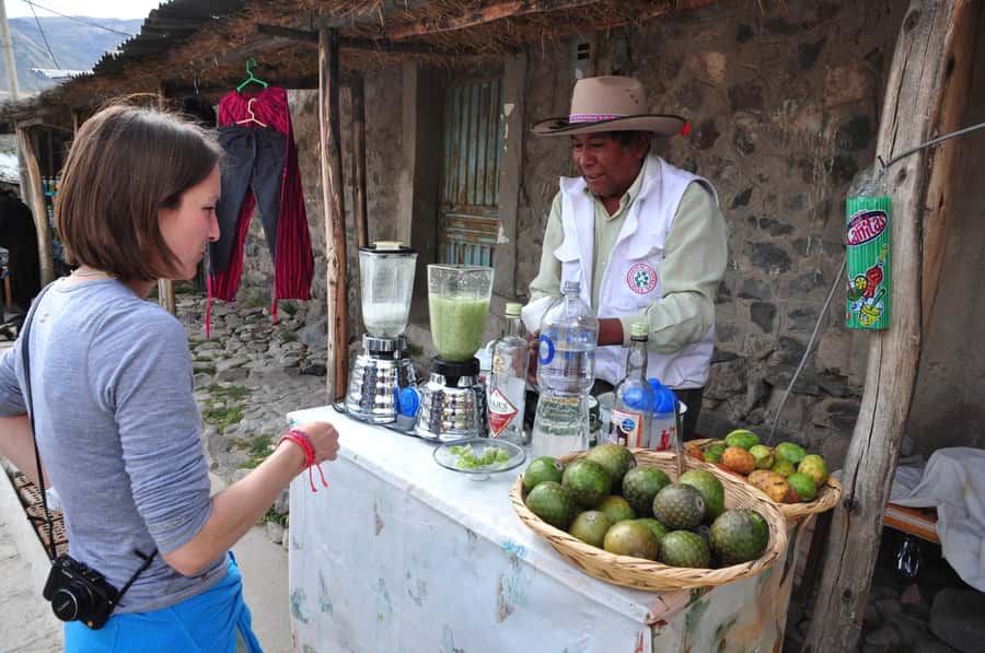 From Arequipa: Fullday Tour Colca Canyon + Transfer To Puno - Cruz del Cóndor and the first view into Colca
