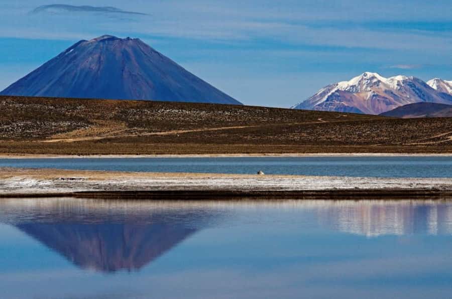 From Arequipa: Salinas Lagoon Full-Day Trip with Hot Springs - Chiguata church and a traditional breakfast