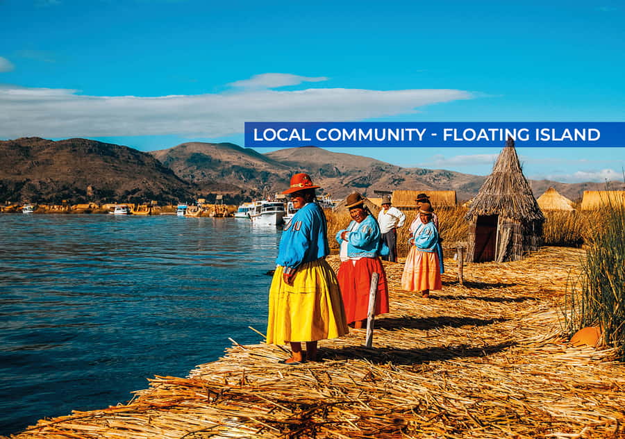 From Cusco: 2-Night Lake Titicaca Excursion - Arriving in Puno before sunrise