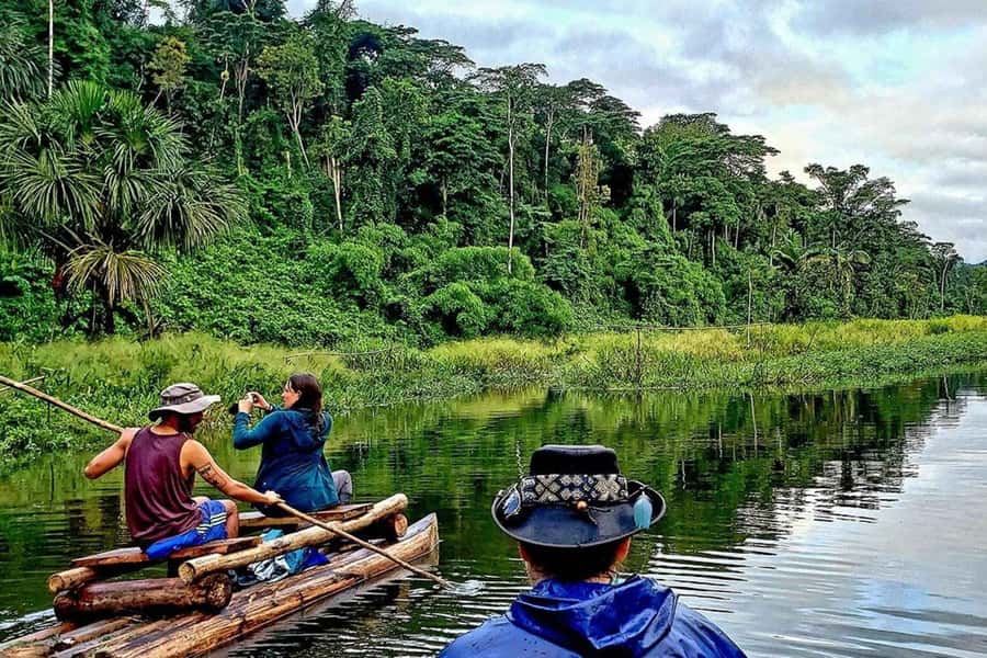 From Cusco: 4-Day Manu National Park Guided Tour - Hummingbirds and the long return to Cusco