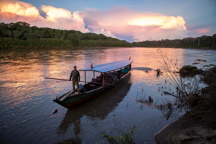 From Cusco: 4-Day Manu National Park Guided Tour - Guides, group size, and wildlife quality