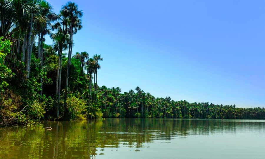 From Cusco: 4 Day Puerto Maldonado Sandoval Lake Excursion - Day 4: Meeting a Machiguenga family