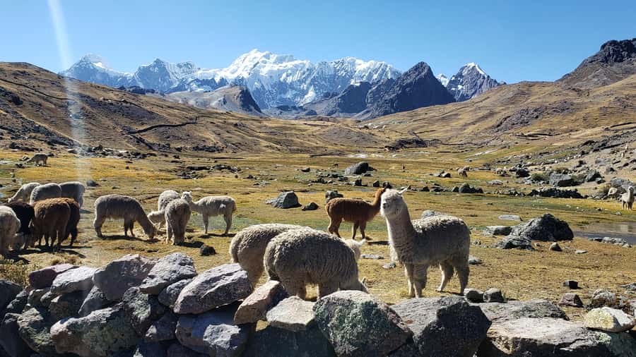 From Cusco: 7 Lakes of Ausangate Full Day Tour - How difficult is the Ausangate hike?