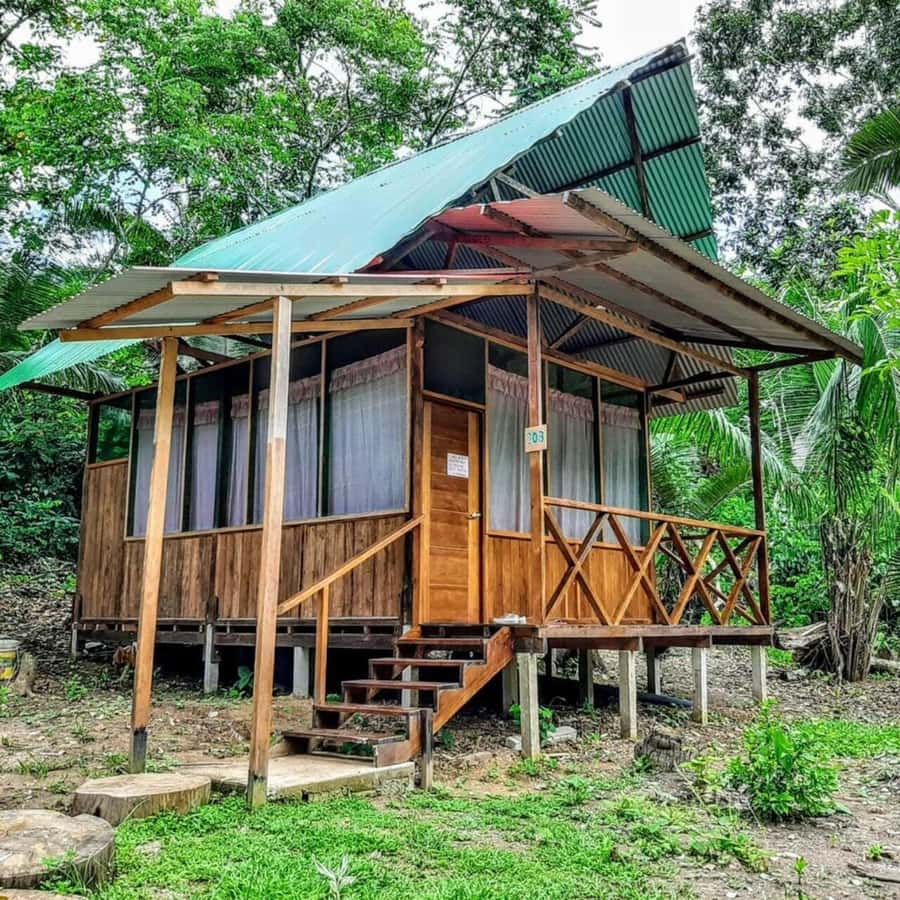 From Cusco: Amazon jungle for two days with sleeper bus and private lodge - Sandoval Lake by Canoe