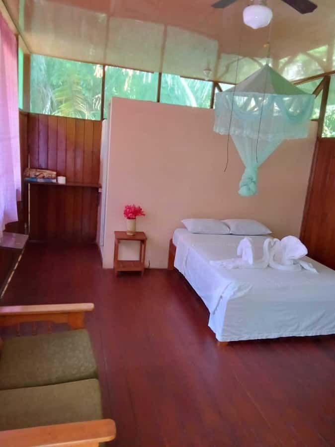 From Cusco: Amazon jungle for two days with sleeper bus and private lodge - Who Will Enjoy This Trip Most