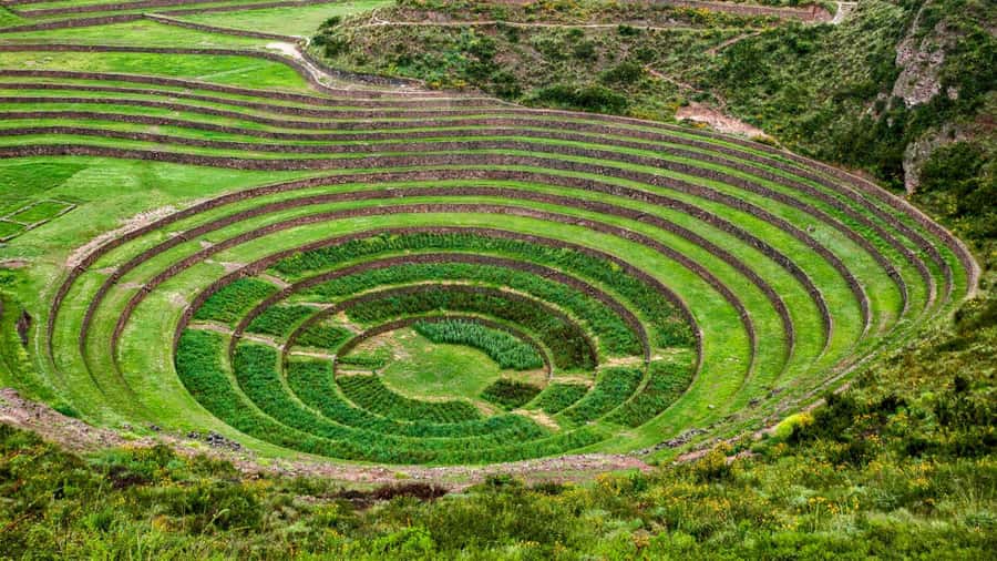 From Cusco: Chinchero Weavers, Moray, Maras Salt Mines Tour - Chinchero and the textile question
