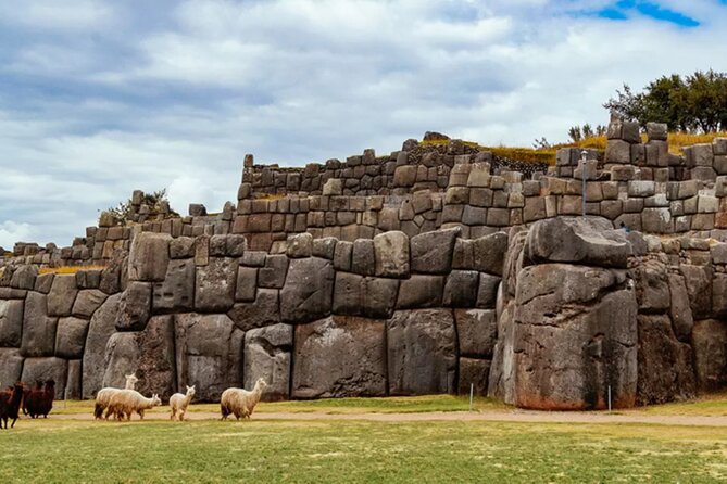 From Cusco City Tour Four Ruins Half Day Tour - Group size, pace, and comfort