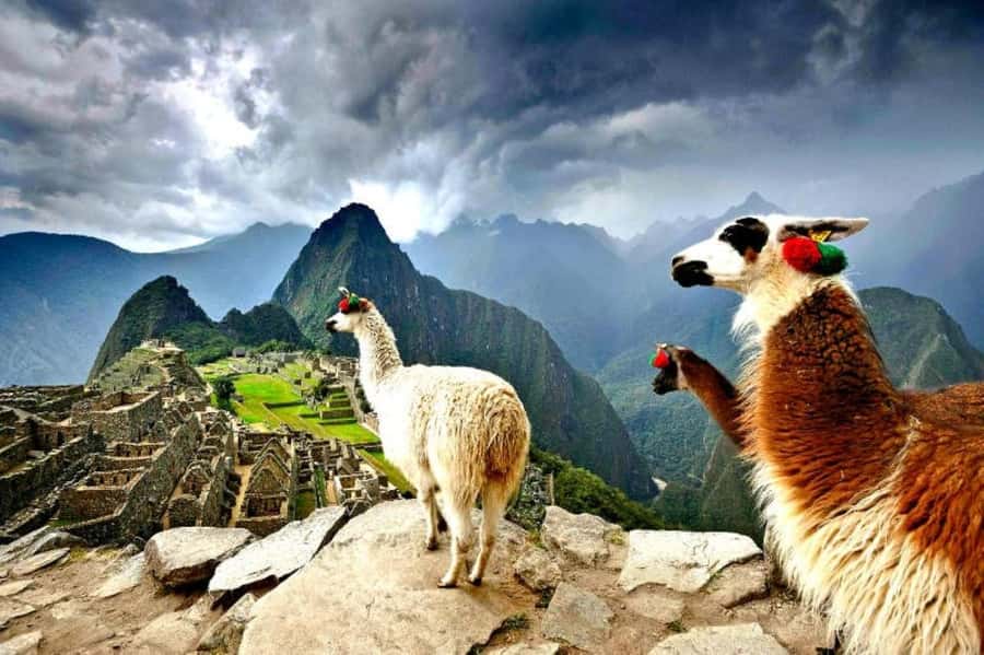 From Cusco:MachuPicchu Excursion 1 day plus Ticket and Train - The Early Pickup in Cusco’s Historic Center