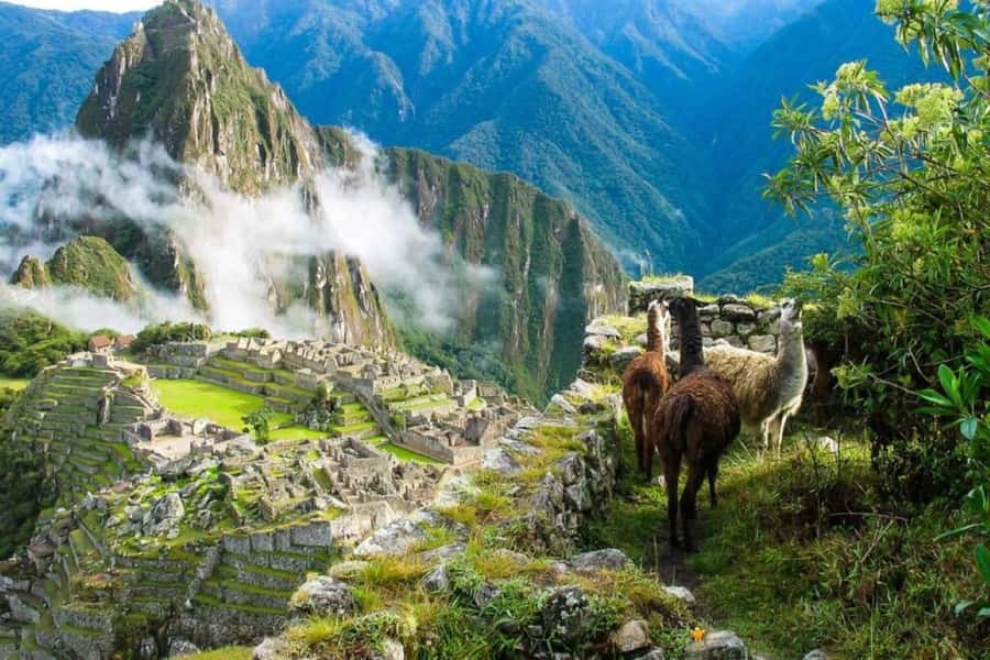 From Cusco:MachuPicchu Excursion 1 day plus Ticket and Train - The Train to Aguas Calientes