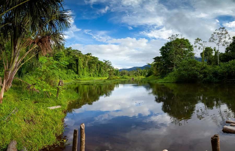 From Cusco: Manu National Park Tour & Accommodation 3 Days - Should you book the three-day Manu experience?