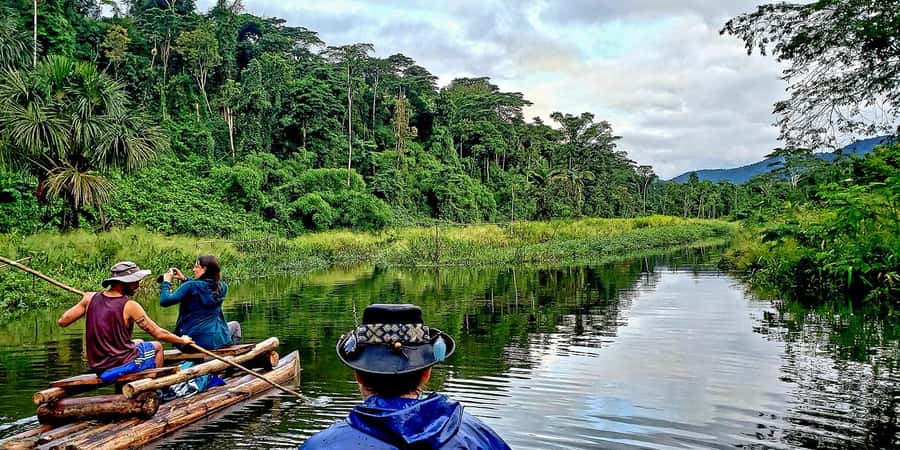 From Cusco: Manu National Park Tour & Accommodation 3 Days - Day 2: Boat rides on the Alto Madre de Dios River