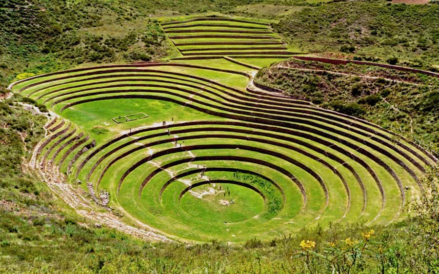From Cusco: Moray, Maras, and Salt Mines Half-Day Tour - Moray’s circular terraces and old water system