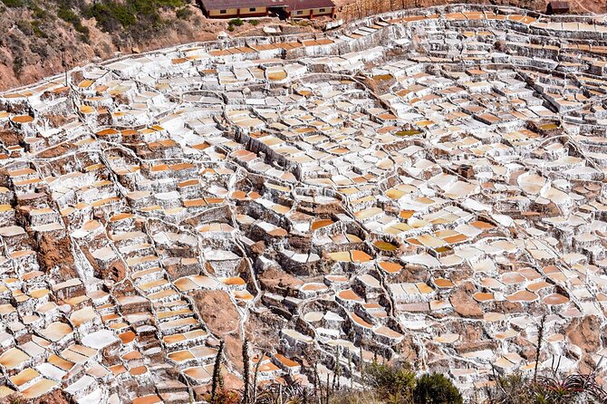 From Cusco: Moray, Maras Salt Mines & Chinchero Weavers Half-Day - Who should book this tour?