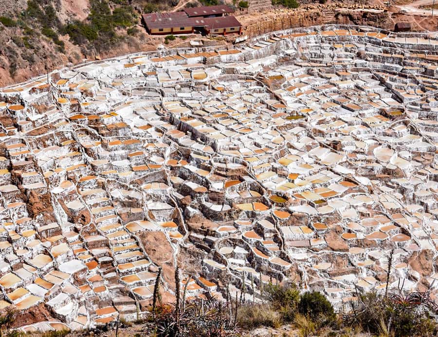 From Cusco: Moray, Maras Salt Mines & Chinchero Weavers Tour - What the $15 price really covers