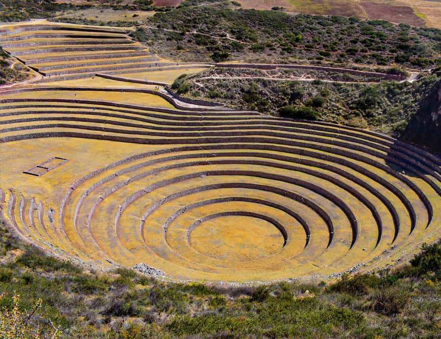 From Cusco: Moray, Maras Salt Mines & Chinchero Weavers Tour - The guides shape the experience