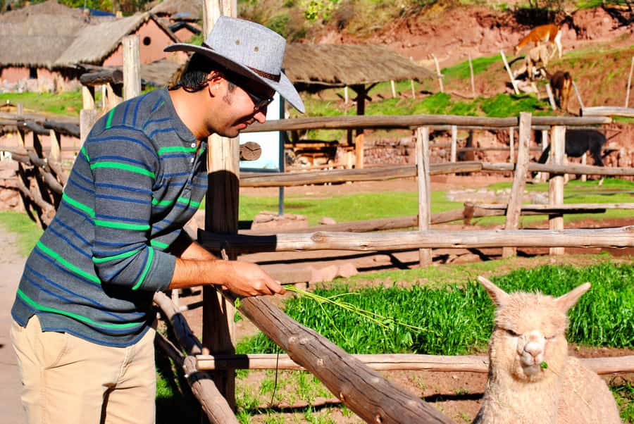 From Cusco: Private Pisac Ruins and Alpaca Farm Day Trip - The walk down to Pisac town