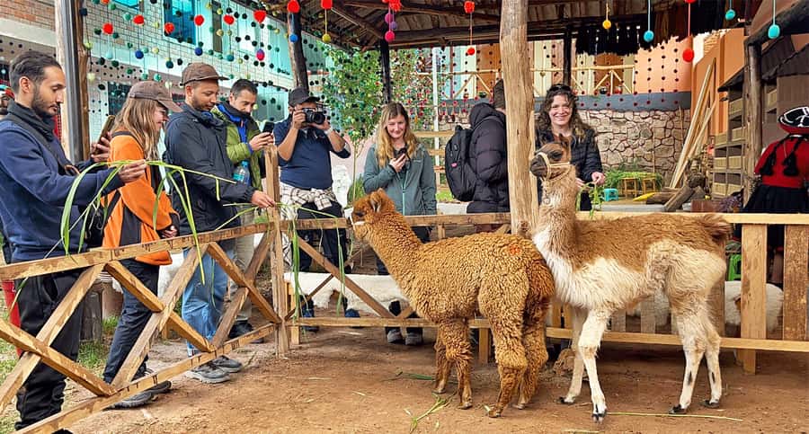From Cusco: Sacred Valley & Maras Salt Mines Tour with Lunch - Chinchero: textiles, church, and an Andean starting point