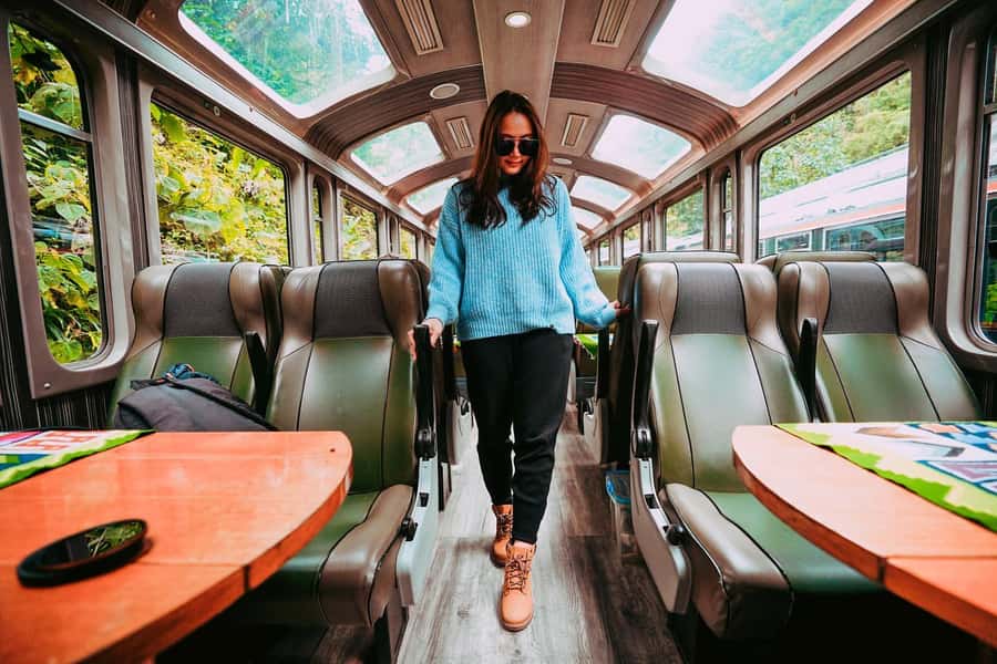From Cusco: Train Ride and Guided Tour of Machu Picchu - Key points to know before booking