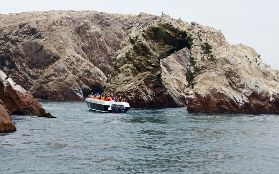 From Huacachina: Ballestas and Paracas Reserve - GROUP TOUR - A coastal wildlife trip from Huacachina