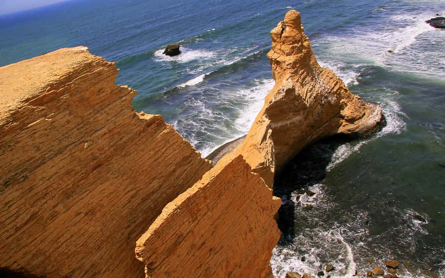 From Huacachina: Ballestas and Paracas Reserve - GROUP TOUR - Ballestas Islands: sea lions, penguins, and quick sightings