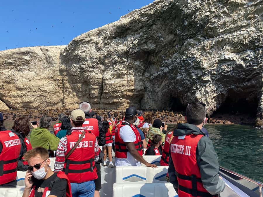 From Huacachina: Ballestas and Paracas Reserve - GROUP TOUR - Paracas Reserve and the red shore at Playa Roja
