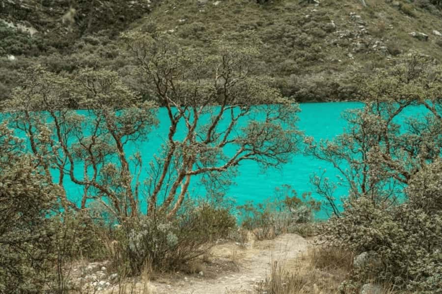 From Huaraz: Tour to Llanganuco Lakes (Chinancocha Lake) - Taricá and the final craft stop