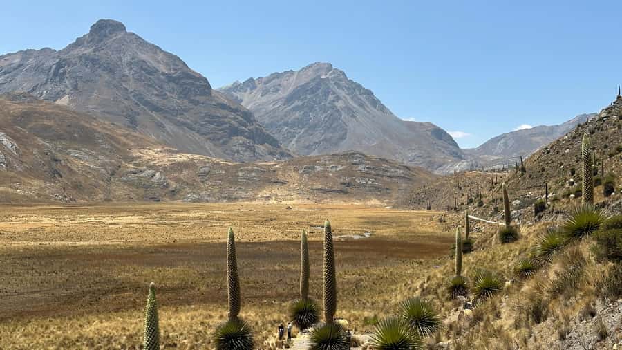 From Huaraz: Tour to the Pastoruri Glacier and Puya Raimondi - Pumapashimin Lagoon marks the start of the glacier walk