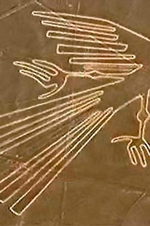 From Ica: Flight over the Nazca Lines - Inside the six-passenger aircraft
