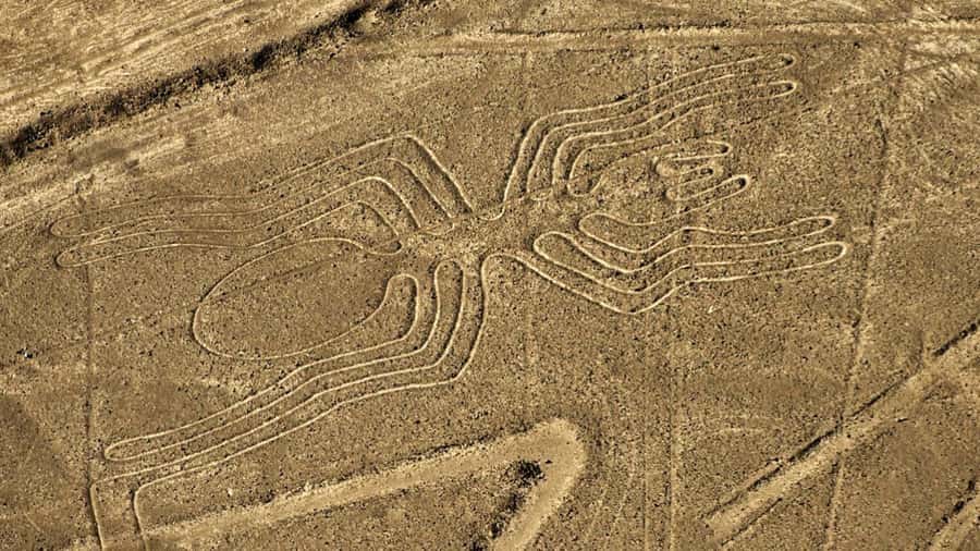 From Ica: Flight over the Nazca Lines - Leaving Ica at 6:30 a.m.