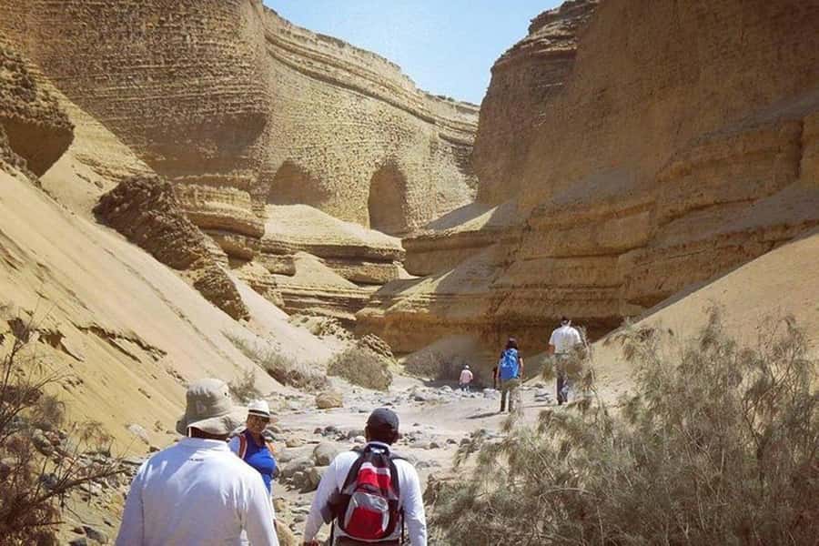 From Ica | Huacachina : Canyon de Los Perdidos | Full Day - What the guide adds to the experience