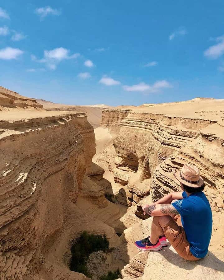 From Ica | Huacachina : Canyon de Los Perdidos | Full Day - Transport, group size, and comfort