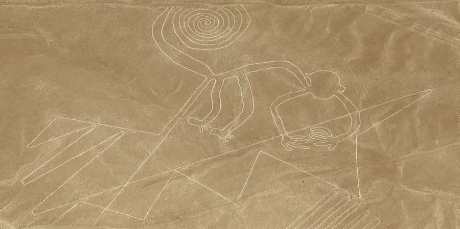 From Ica or Huacachina: Flight Tour Nazca Lines | Overflight - Key points to know before you book