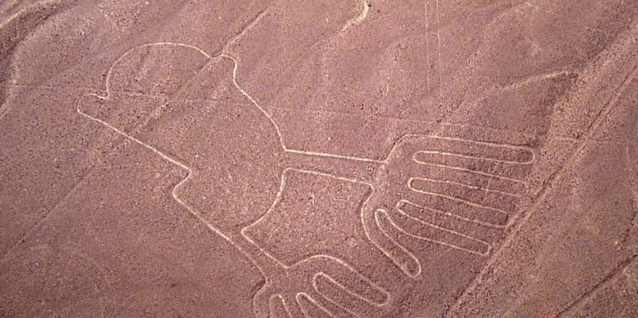 From Ica or Huacachina: Flight Tour Nazca Lines | Overflight - Who will get the most from this experience