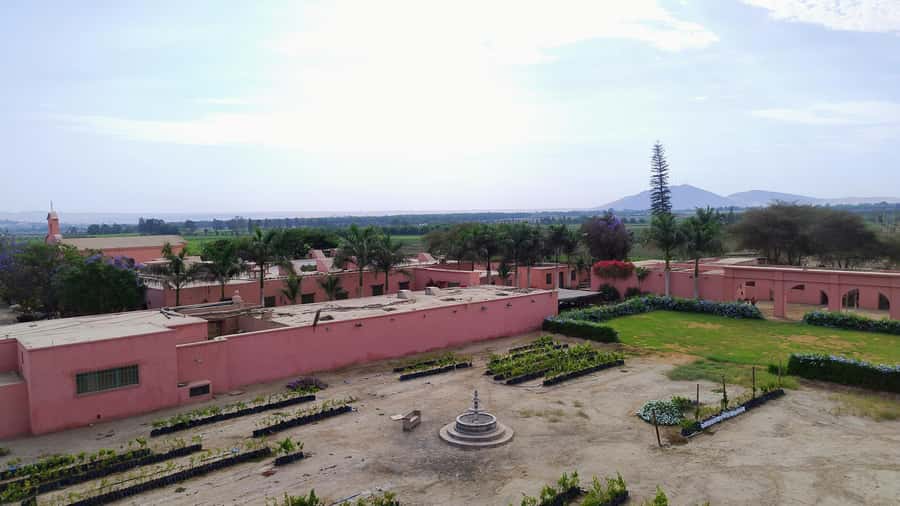 From Ica or Huacachina: Tour to Tacama Vineyard and Artisanal Winery. - The $25 price and what it does not cover