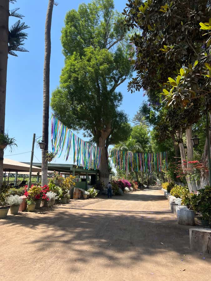 From Ica or Huacachina: Tour to Tacama Vineyard and Artisanal Winery. - Transport, timing, and what to bring