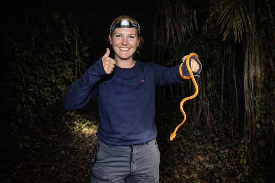 From Iquitos: 3-Day Amazon Jungle Adventure Trip - Should you book it?