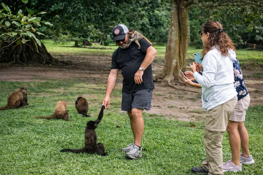 From Iquitos: 3-Day Amazon Jungle Adventure Trip - Who will enjoy this three-day Amazon trip