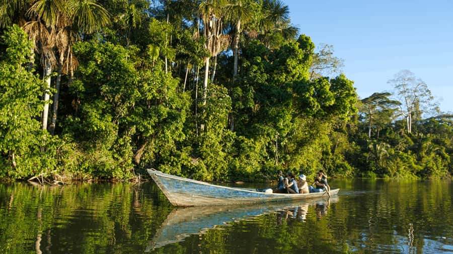 From Iquitos: Full day tour in the Peruvian jungle - From an Iquitos hotel to the Amazon River