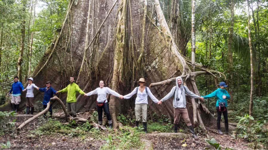 From Iquitos: Full day tour in the Peruvian jungle - A rescue center with toucans, macaws, monkeys, and sloths