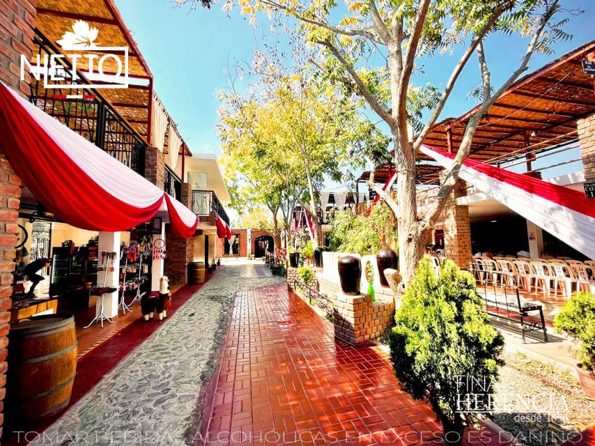 From Lima 2 days 1 night, Ballestas,Huacachina & Nazca lines - Should you book this two-day Peru trip?