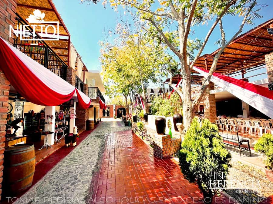 From Lima 2 days 1 night, Ballestas,Huacachina & Nazca lines - The long transfer from Huacachina to Nazca