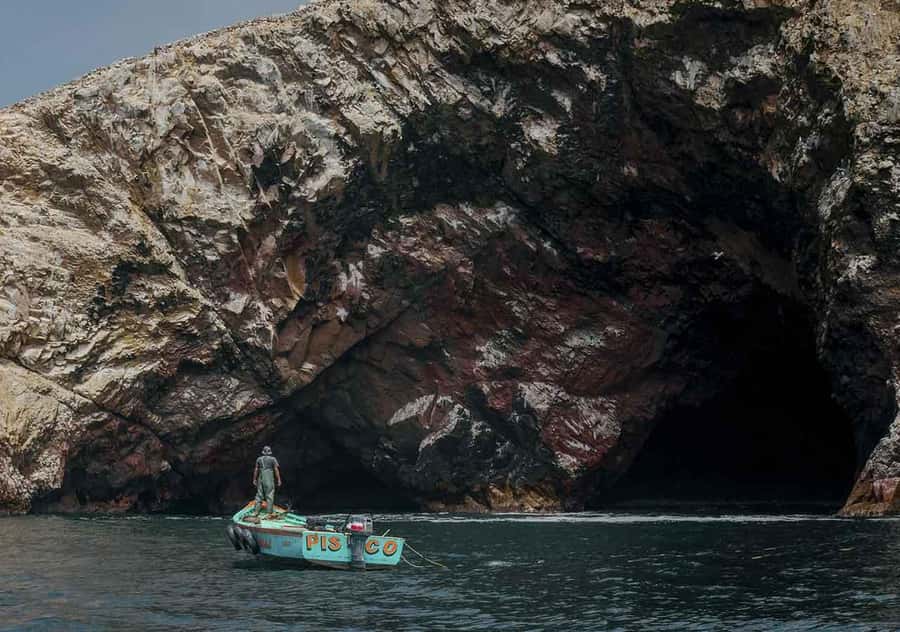 From Lima: Ballestas Islands and Huacachina Sunset Day Trip - Meeting the wildlife at the Ballestas Islands