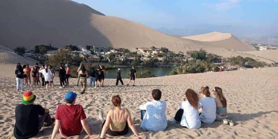 From Lima: Ballestas Islands, Huacachina and Wine Route Trip - Paracas and the Boat to the Ballestas Islands